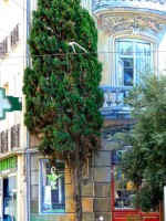 /album/murs-peints-trompe-loeil/a44-jeu-de-paume-4-jpg/